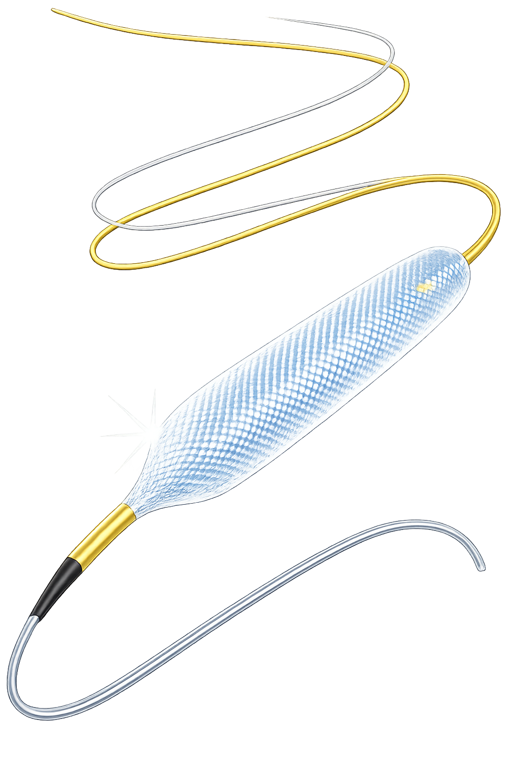 PTA Balloon Catheter